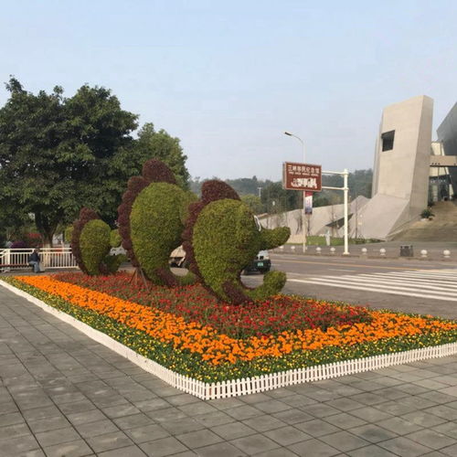 四川成都五色草雕塑廠家大量批發(fā)制作 荷花五色草雕塑造型批發(fā)廠