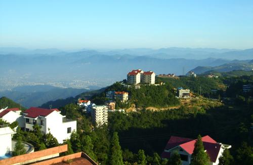 給上海鄧氏園林工程的工廠綠化景點(diǎn)案例留言_產(chǎn)品詢.