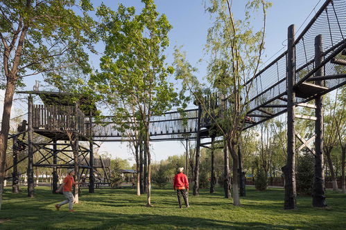 光影童夢，唐山皮影主題樂園 奧雅設計打造沉浸式兒童景觀新地標